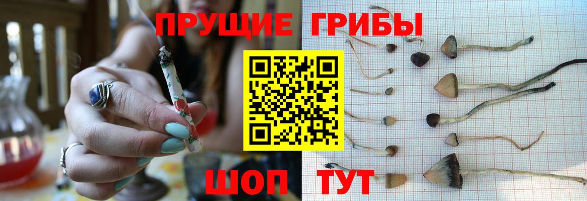 Пыть-Ях  Галлюциногенные грибы GOLDEN TEACHER  Вход с VPN 